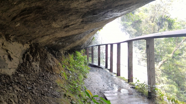 竹坑溪步道封面