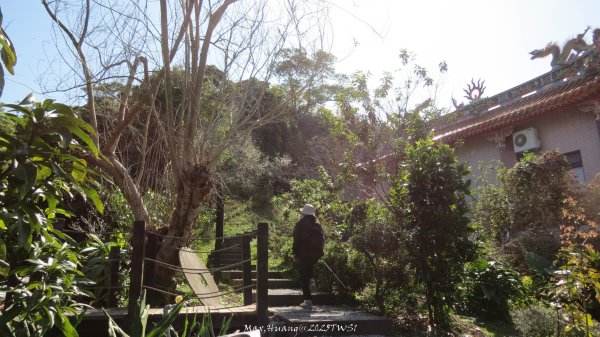 《台中》落雨松季｜石岡挑物古道O繞下情人木橋202501122687618