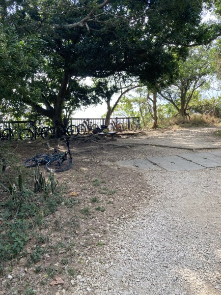 20260221高雄壽山+愛河灣3003362