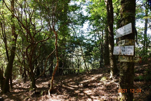 新竹 尖石 養老山、基那吉山1538926