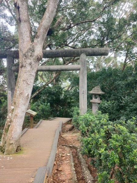 玉里神社步道1774351