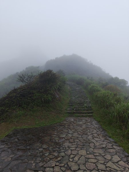 20260327茶壺山3024512