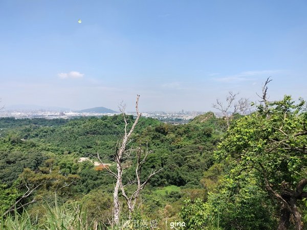 【高雄大社/岡山】郊山連峰稍有挑戰。 大社觀音山步道(立山x高崎山x長野山)2559934