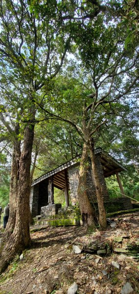 神阿縱走前的前哨站_獵人古道連接望美山與瓊山2333431