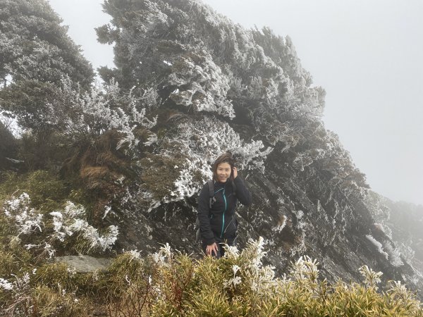 20200208合歡主峰2769533