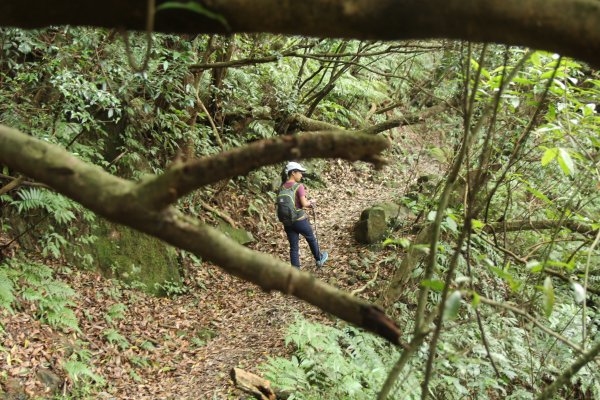 淡蘭古道北路坐山望海1253874