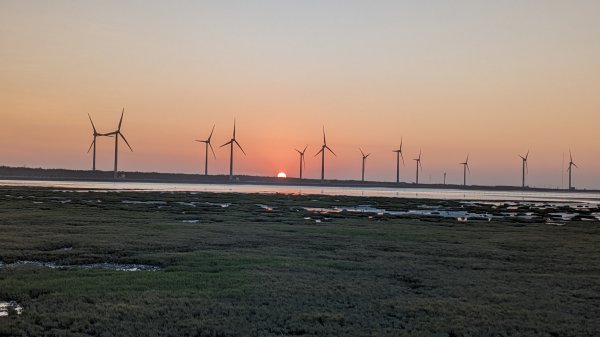 牛罵頭,梧棲出張所,高美濕地2334099