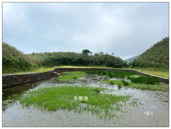 聖母峰、三角崙山 (抹茶山) 連走2802216