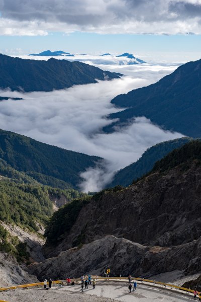 合歡北峰-圓柏的視野466863