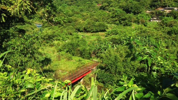 【淡蘭中路】翻山越嶺的茶商之道981228