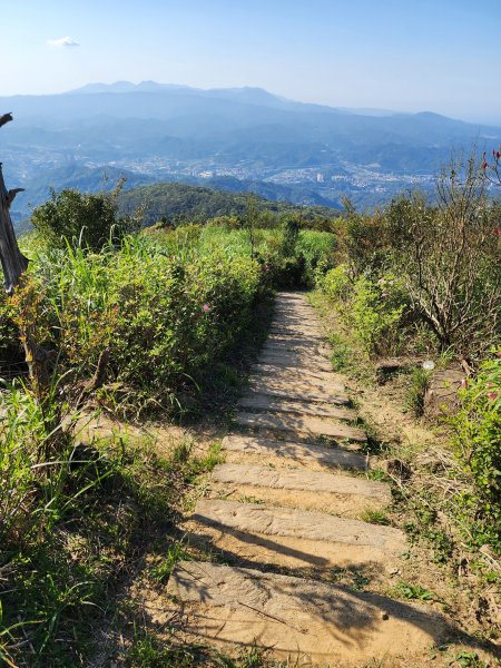 20250322-姜子寮山2740010