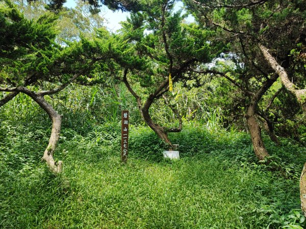 [嘉義梅山][二]科子林山、碧鳳山(碧湖山)、大草埔、南靖寮、頭前山