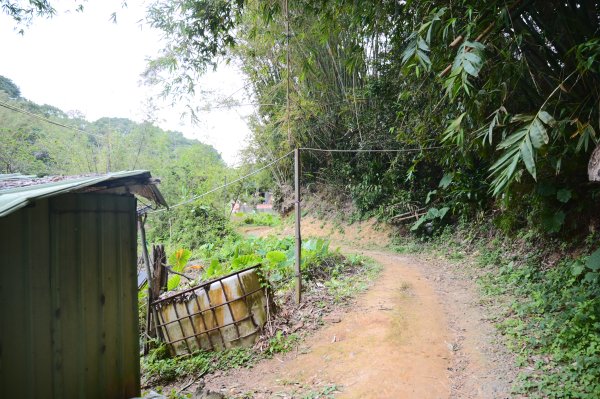 20241231鶯歌尖山-崧嵩嶺-忠義山-鶯歌蛋山-山仔頂山2679968