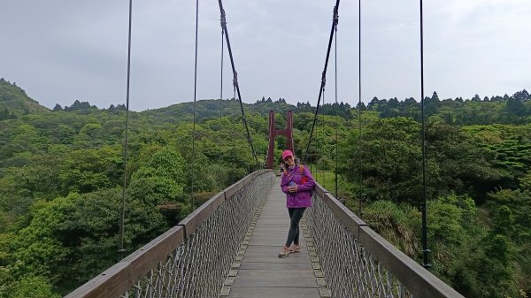 (姨婆趴趴走)第五十一集:台北冷擎步道、金包里大路(魚路古道)2757233