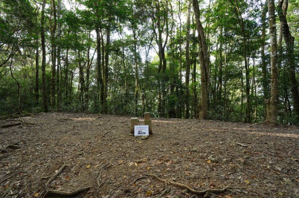 新竹 尖石 高台山、島田山2327038