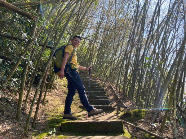 櫻之道.迷糊步道.福山古道.福山步道【全民一起瘋櫻花】1647077