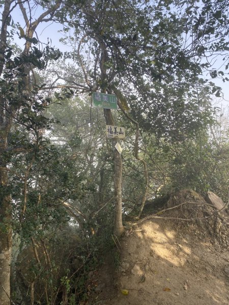 旗尾山、靈山、月光山連稜縱走2711718