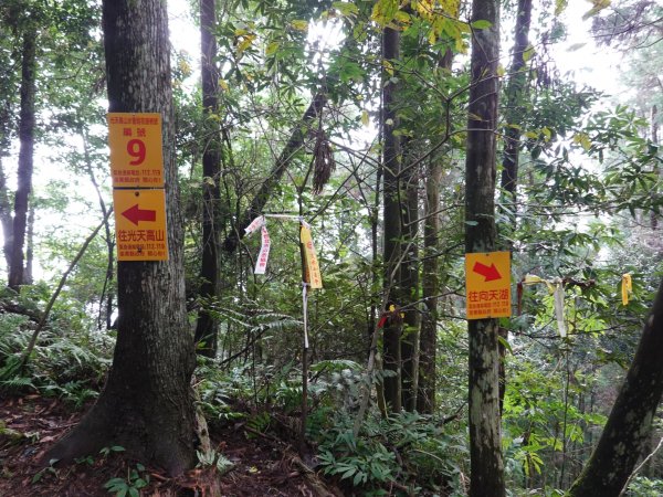 阿興阿賢三角湖山向天湖山光天高山752265