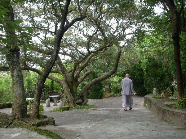 汐止白雲古道／十三分山1959506
