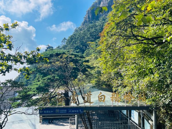 1140915-17安徽省黃山2891413