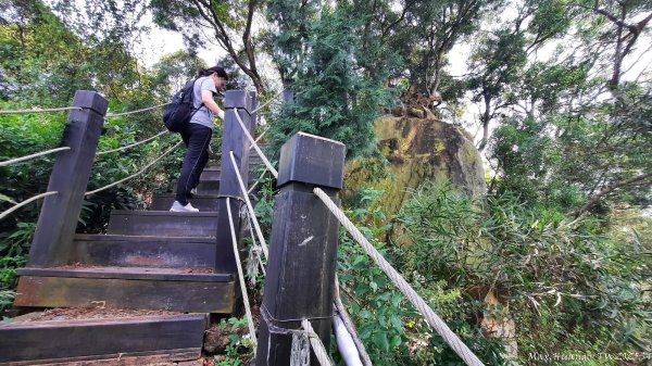 《台中》郊山飆汗｜潭子新田登山步道上聚興山O繞202510042904465