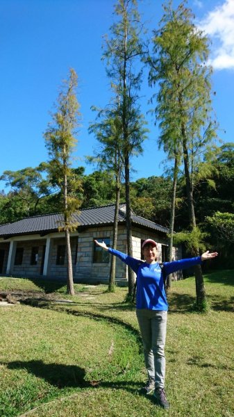 【臺北親山拓印趣】林蔭青蔥的大崙頭尾山738355