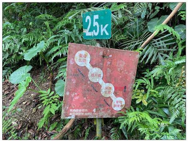 聖母峰、三角崙山 (抹茶山) 連走2802184