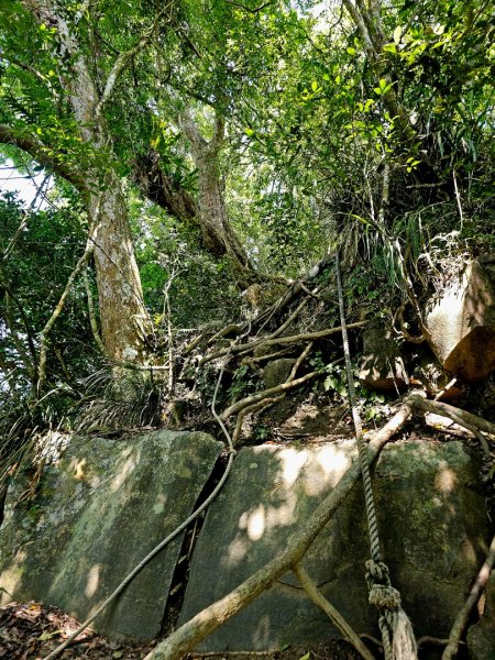 三腳南山-小百岳#65-嘉義縣大埔鄉2788710