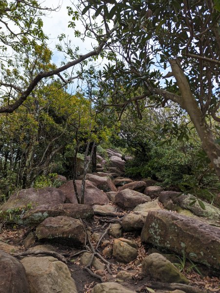 2024-03-31 金面山親山步道、剪刀石、象山親山步道2793317