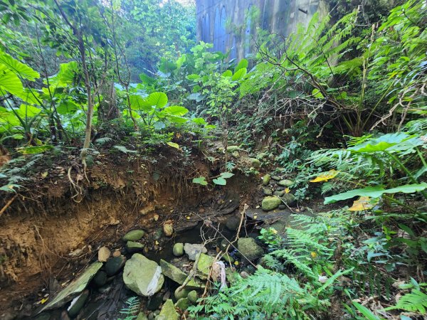 20250913秀才步道福人步道保甲古道2929850