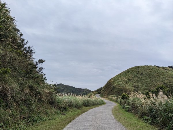 金瓜石九份2981419