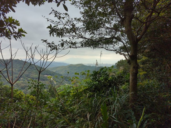 2022.03.05－大棟山縱走1636835