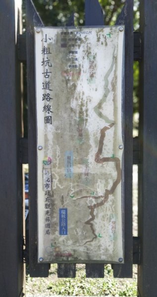 小粗坑古道-小粗坑山-小金瓜露頭-大粗坑山步道469686