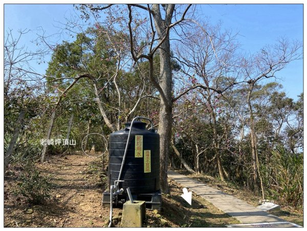 老崎古道、老崎坪頂山 (頭份)2737154