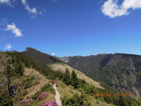 20180827-28_雪山主東396316