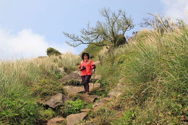 大屯山主、南、西峰O型322209