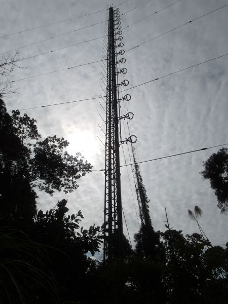 台灣小百岳第21座-桃園大溪金面山三角點100577