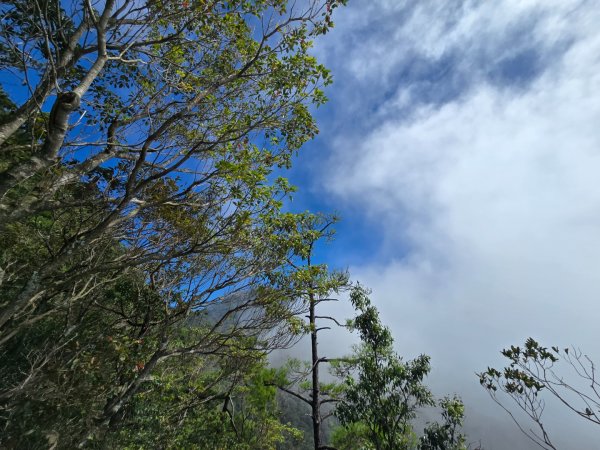 鳶嘴山雲海季開動嘍2634269