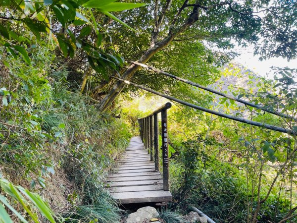 1150123里龍山2986667