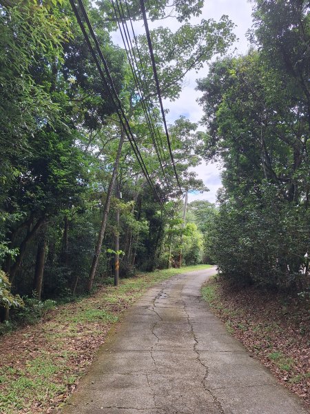 三義挑炭古道(三通嶺古道)11508233115427