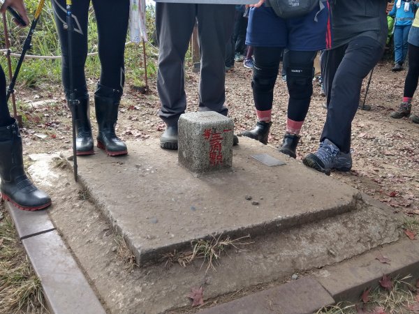 馬那邦山(小百岳#37)登山步道。點點楓紅 2020/12/131425317