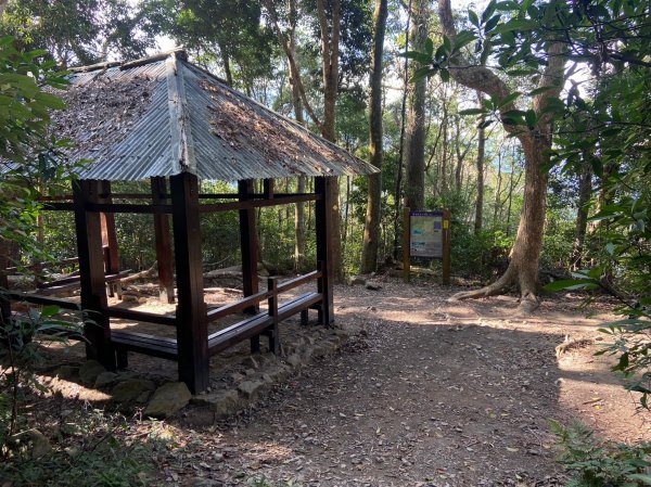 唐麻丹山-松鶴上三角點O型回松鶴2378393