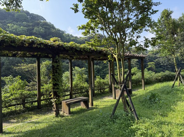 2026_0412 鐘萼木賞花 - 淡蘭國寶樹3035274