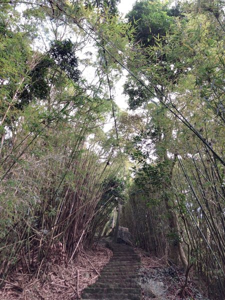 ~ 中 正 山 步 道 ~2782704