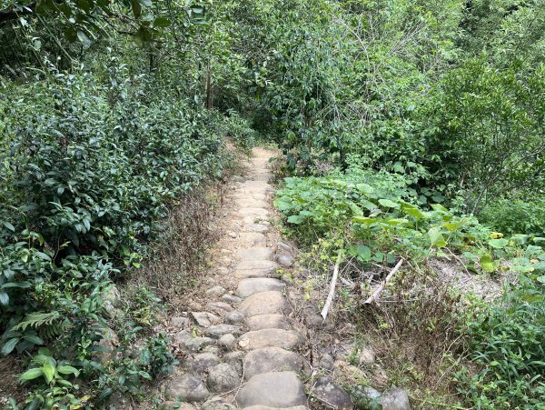 [皮皮獅探險隊-04/10] 2025_0706 三段崎古道2831760