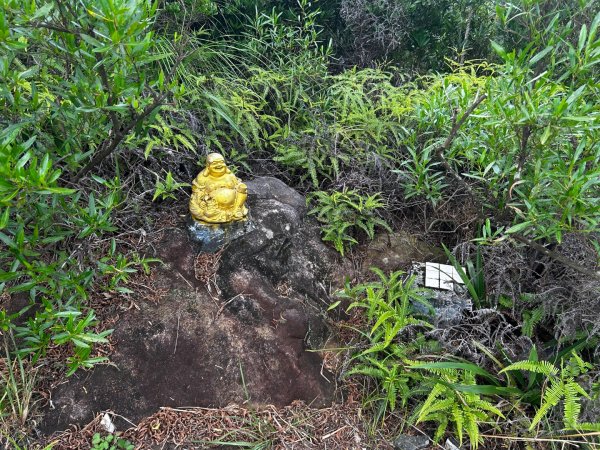 內湖鯉魚山之旅2811741