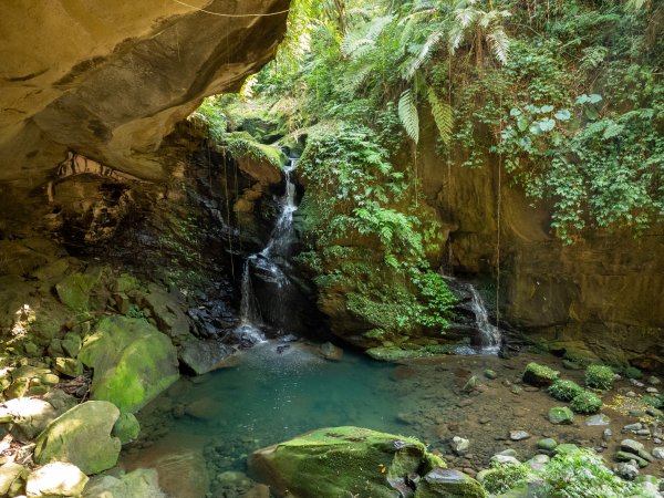 三民蝙輻洞2802492