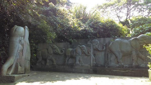 【臺北大縱走 6】象山拇指山南港山九五峰918391