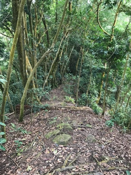 仙山.八仙古道O型走521356