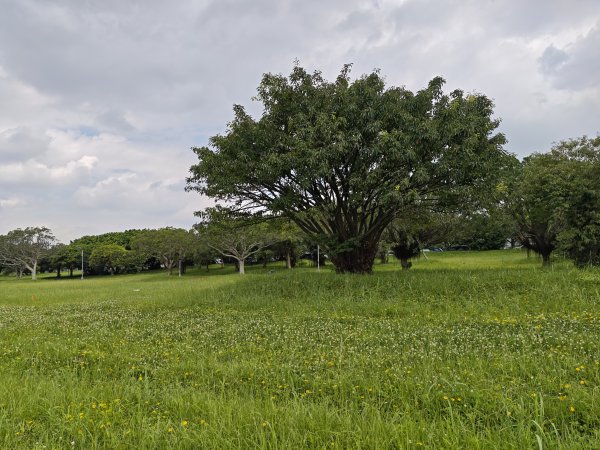 [跟著2025雙北世壯運探索雙北市-1/21] 2025_0607 飛盤競技道（華江雁鴨河濱步道）2807790